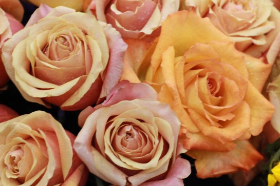 Ready for Spring series - Bouquet of Roses